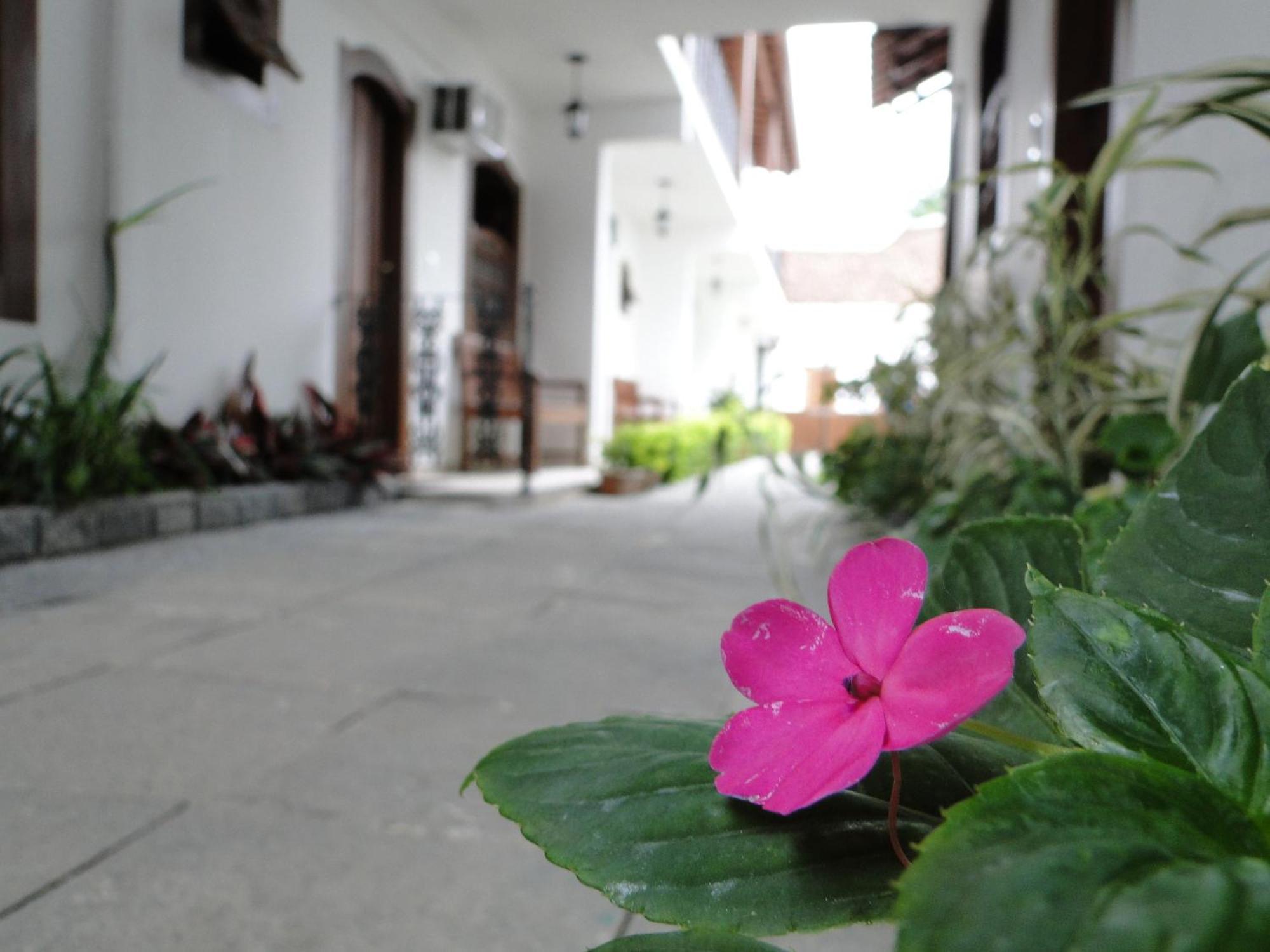 Pousada Doce Parati Exterior foto